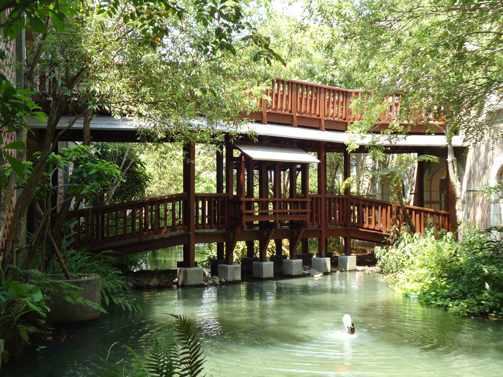 縣政府-木棧橋生態池