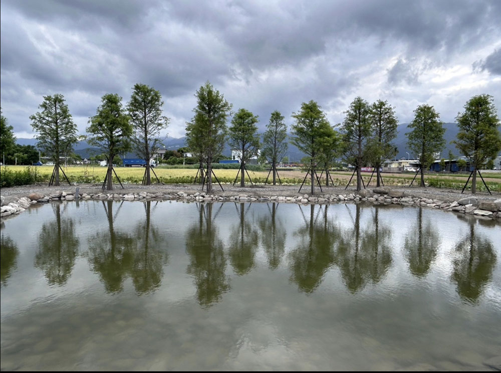 礁溪民宿生態池