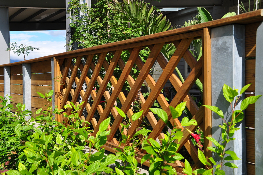 宜蘭南方松圍籬